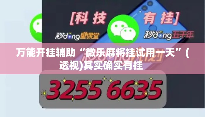 万能开挂辅助“微乐麻将挂试用一天	”(透视)其实确实有挂 