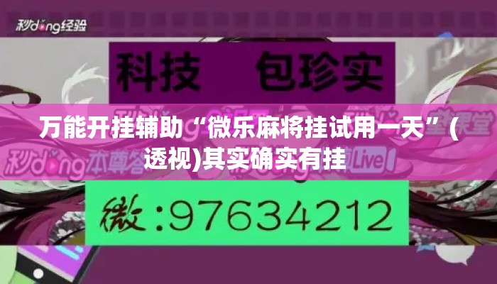 万能开挂辅助“微乐麻将挂试用一天”(透视)其实确实有挂 