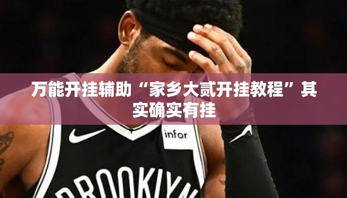 万能开挂辅助“家乡大贰开挂教程”其实确实有挂