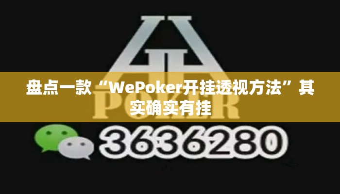 盘点一款“WePoker开挂透视方法”其实确实有挂