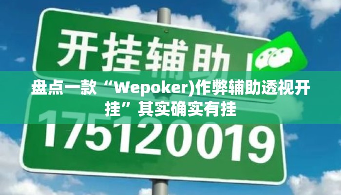 盘点一款“Wepoker)作弊辅助透视开挂	”其实确实有挂