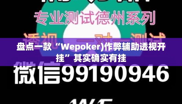 盘点一款“Wepoker)作弊辅助透视开挂”其实确实有挂