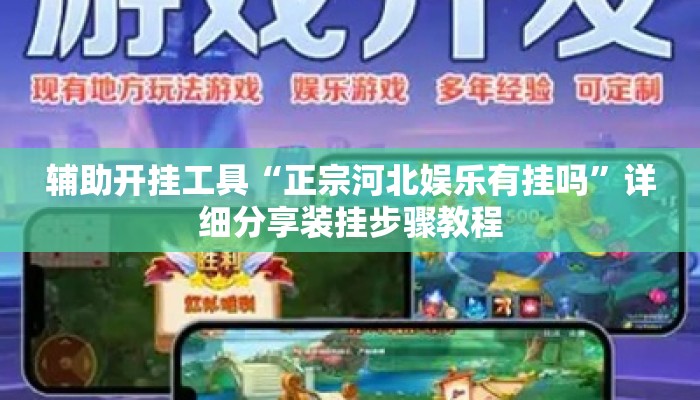 辅助开挂工具“正宗河北娱乐有挂吗	”详细分享装挂步骤教程