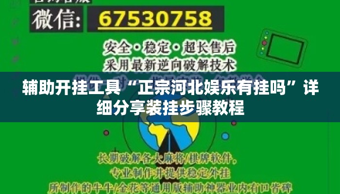 辅助开挂工具“正宗河北娱乐有挂吗”详细分享装挂步骤教程
