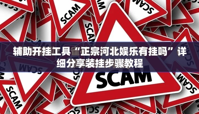 辅助开挂工具“正宗河北娱乐有挂吗”详细分享装挂步骤教程