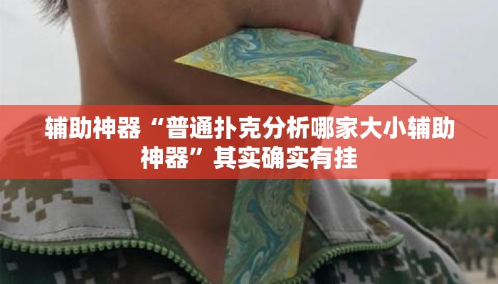 辅助神器“普通扑克分析哪家大小辅助神器”其实确实有挂