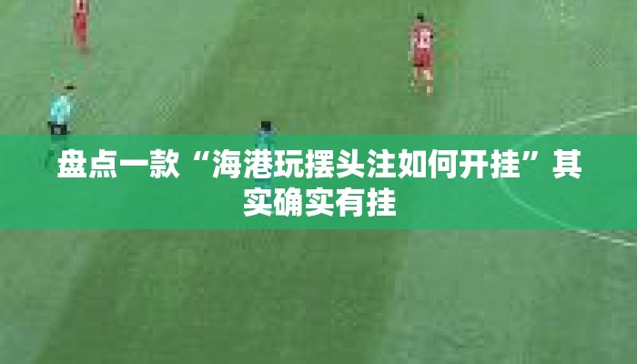 盘点一款“海港玩摆头注如何开挂”其实确实有挂