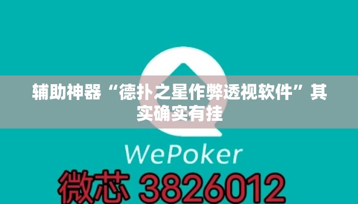 辅助神器“德扑之星作弊透视软件”其实确实有挂