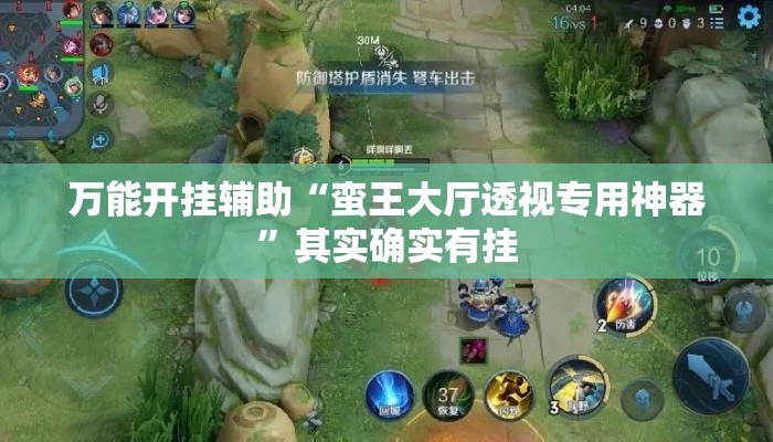 万能开挂辅助“蛮王大厅透视专用神器”其实确实有挂