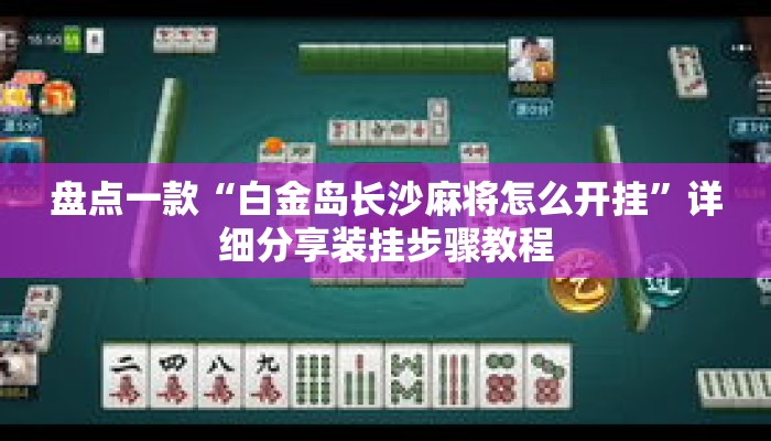 盘点一款“白金岛长沙麻将怎么开挂”详细分享装挂步骤教程
