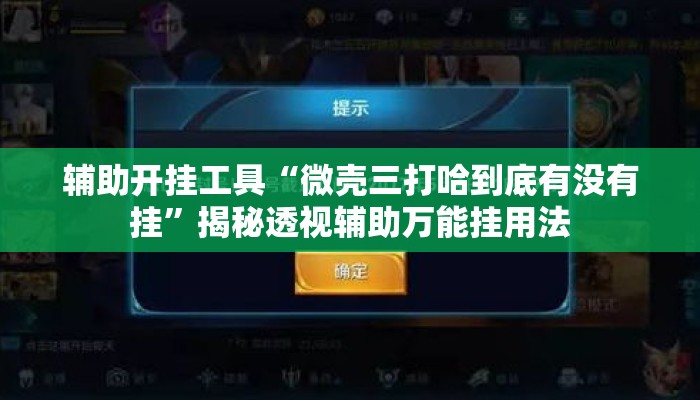 辅助开挂工具“微壳三打哈到底有没有挂	”揭秘透视辅助万能挂用法