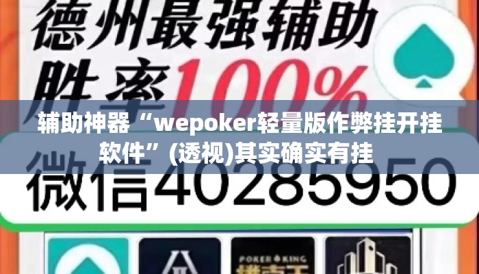 辅助神器“wepoker轻量版作弊挂开挂软件”(透视)其实确实有挂 