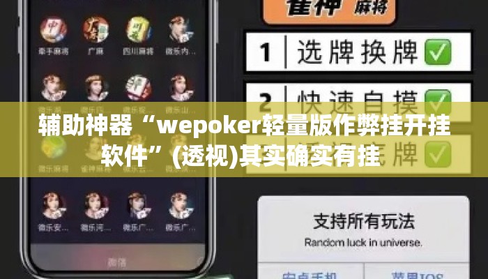 辅助神器“wepoker轻量版作弊挂开挂软件”(透视)其实确实有挂 