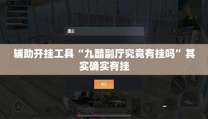 辅助开挂工具“九酷副厅究竟有挂吗	”其实确实有挂