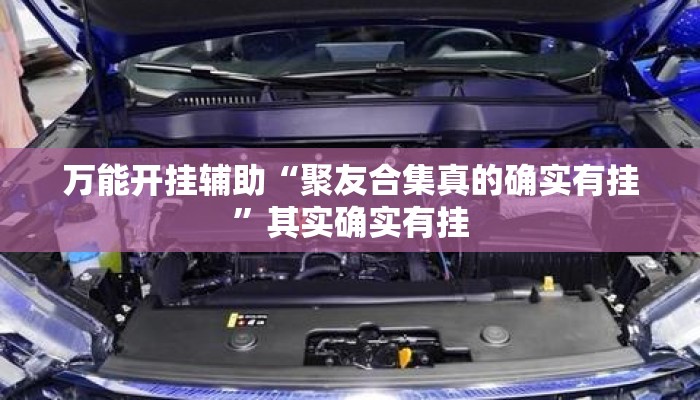 万能开挂辅助“聚友合集真的确实有挂”其实确实有挂