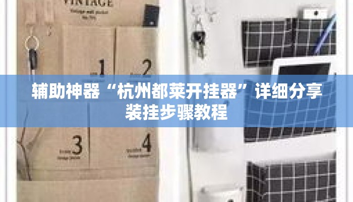 辅助神器“杭州都莱开挂器”详细分享装挂步骤教程