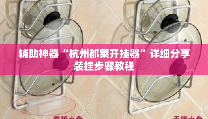辅助神器“杭州都莱开挂器”详细分享装挂步骤教程