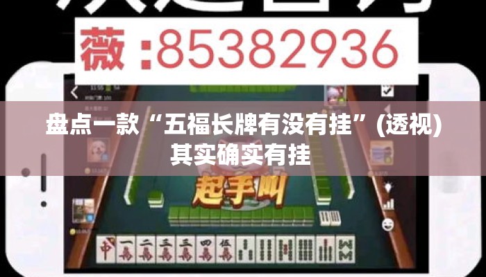 盘点一款“五福长牌有没有挂	”(透视)其实确实有挂 