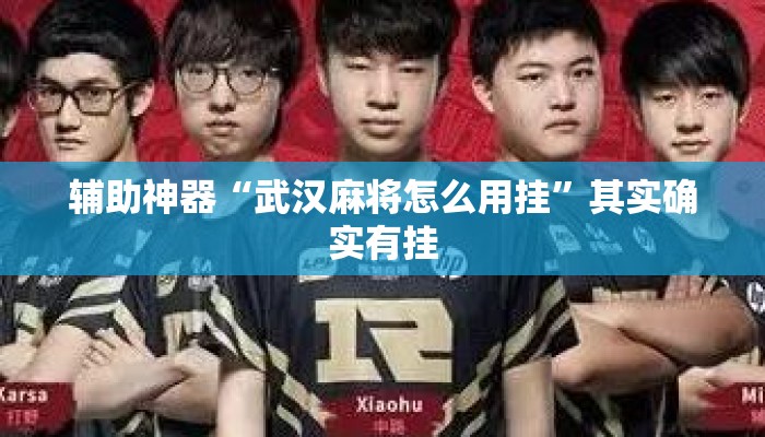 辅助神器“武汉麻将怎么用挂”其实确实有挂