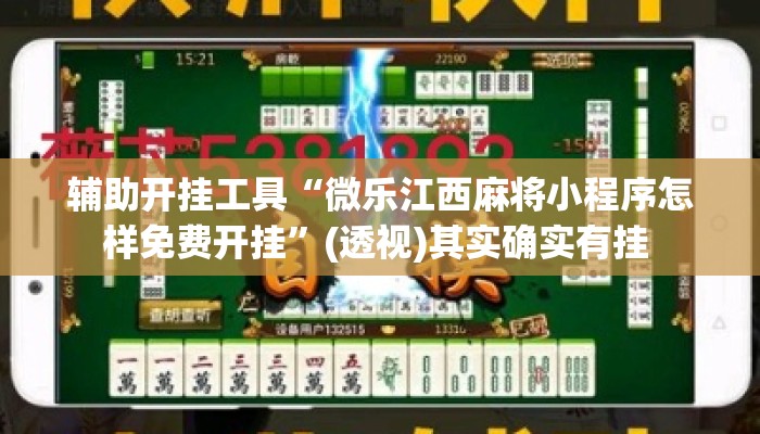 辅助开挂工具“微乐江西麻将小程序怎样免费开挂”(透视)其实确实有挂 