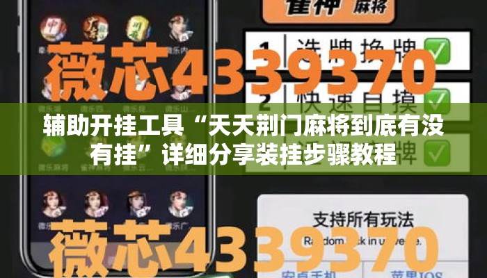 辅助神器“手机麻将通用挂”(透视)其实确实有挂 