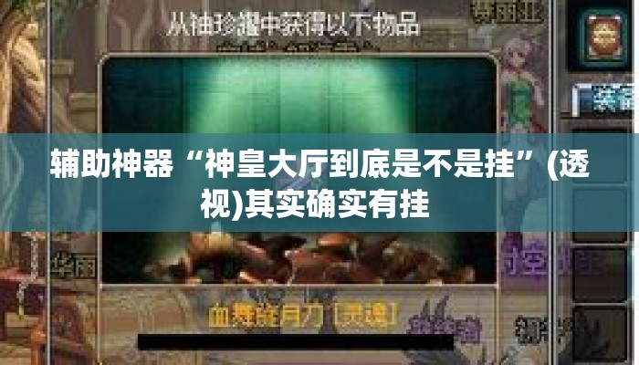 辅助神器“神皇大厅到底是不是挂”(透视)其实确实有挂 