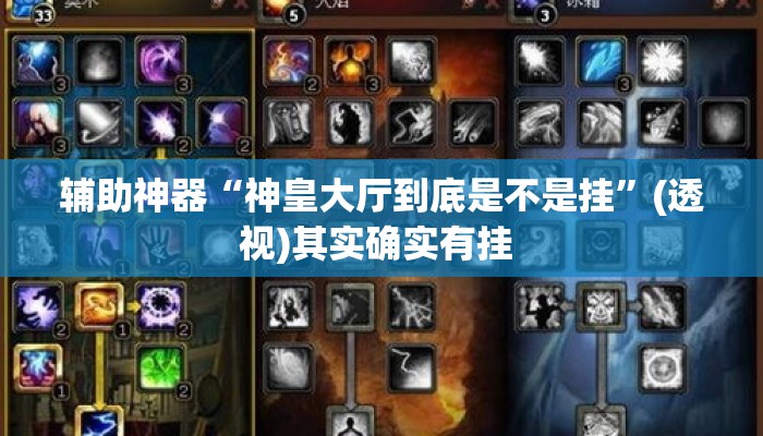 辅助神器“神皇大厅到底是不是挂”(透视)其实确实有挂 