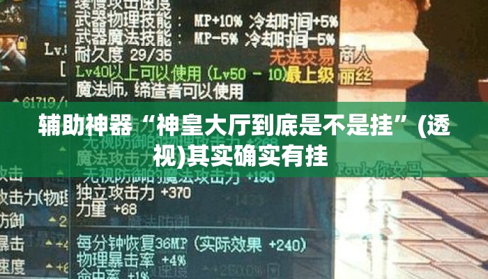 辅助神器“神皇大厅到底是不是挂	”(透视)其实确实有挂 