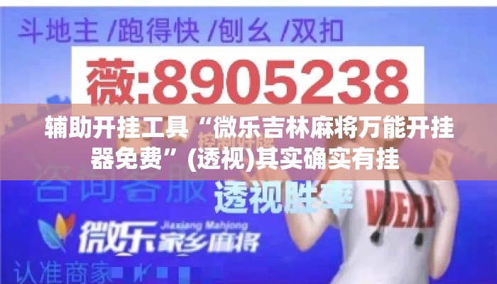 辅助开挂工具“微乐吉林麻将万能开挂器免费”(透视)其实确实有挂 