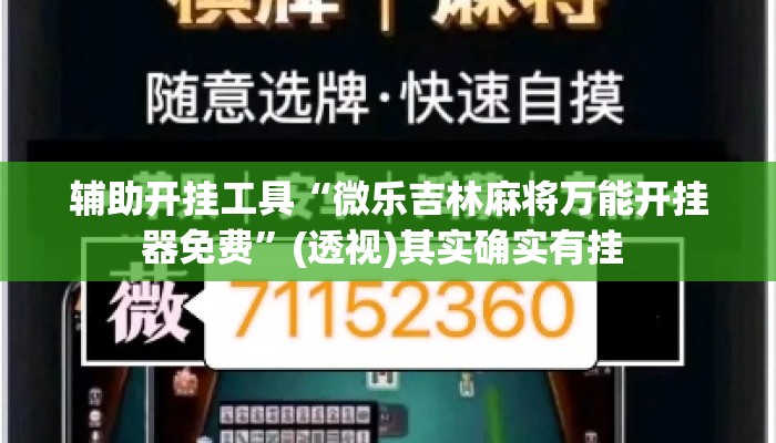 辅助开挂工具“微乐吉林麻将万能开挂器免费	”(透视)其实确实有挂 