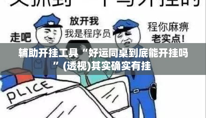 辅助开挂工具“好运同桌到底能开挂吗”(透视)其实确实有挂 