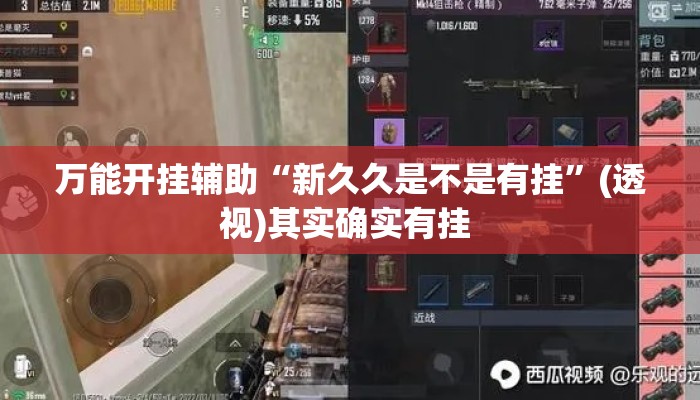 万能开挂辅助“新久久是不是有挂”(透视)其实确实有挂 