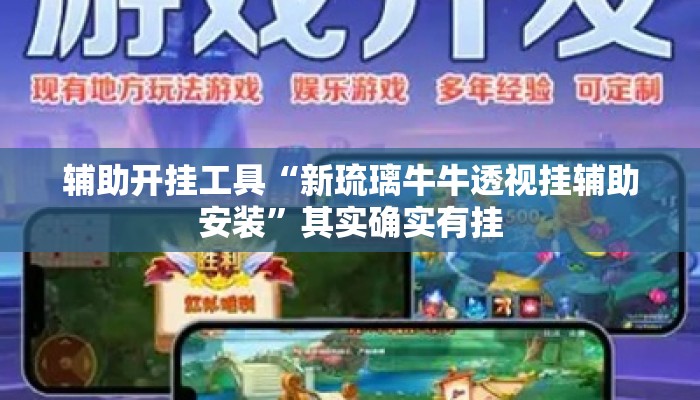 辅助开挂工具“新琉璃牛牛透视挂辅助安装”其实确实有挂