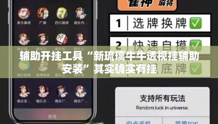 辅助开挂工具“新琉璃牛牛透视挂辅助安装”其实确实有挂