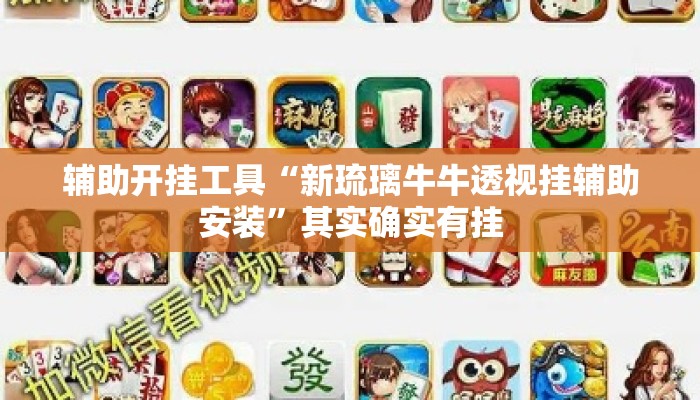 辅助开挂工具“新琉璃牛牛透视挂辅助安装”其实确实有挂