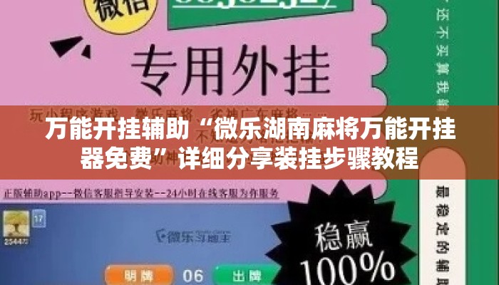 万能开挂辅助“微乐湖南麻将万能开挂器免费”详细分享装挂步骤教程