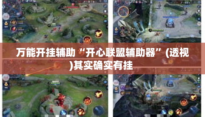 万能开挂辅助“开心联盟辅助器”(透视)其实确实有挂 