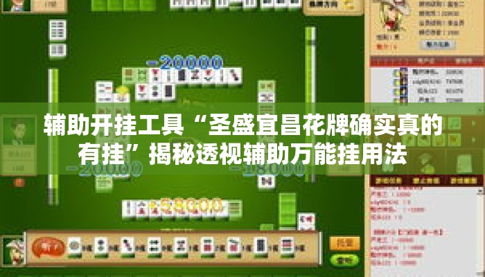 辅助开挂工具“圣盛宜昌花牌确实真的有挂”揭秘透视辅助万能挂用法