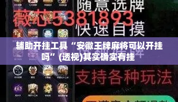 辅助开挂工具“安徽王牌麻将可以开挂吗	”(透视)其实确实有挂 
