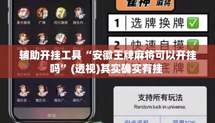 辅助开挂工具“安徽王牌麻将可以开挂吗”(透视)其实确实有挂 