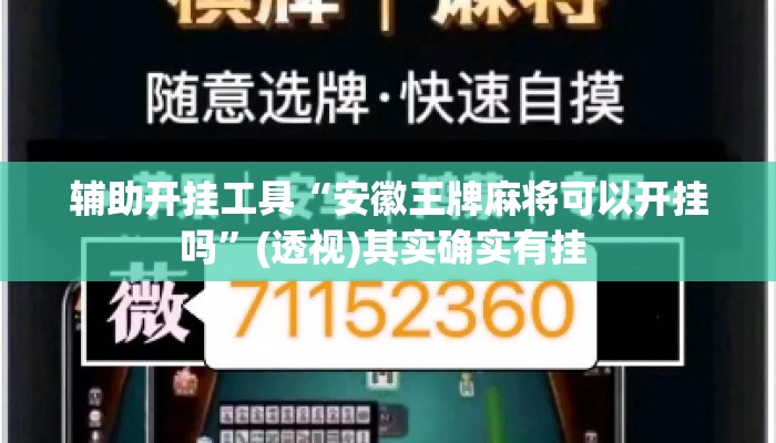 辅助开挂工具“安徽王牌麻将可以开挂吗”(透视)其实确实有挂 