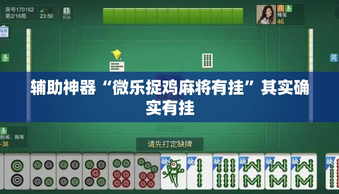 辅助神器“微乐捉鸡麻将有挂	”其实确实有挂