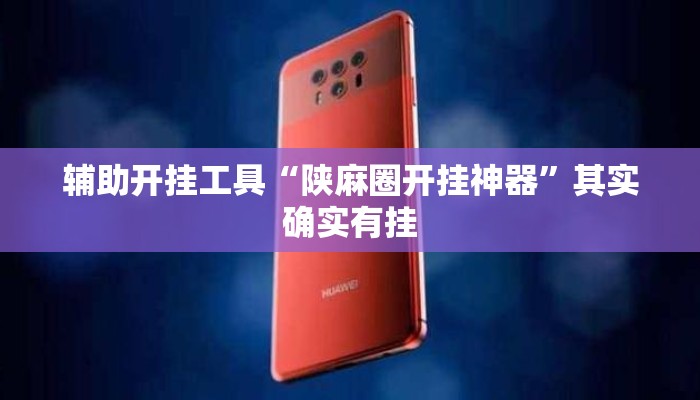 辅助开挂工具“陕麻圈开挂神器	”其实确实有挂