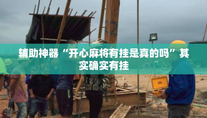 辅助神器“开心麻将有挂是真的吗”其实确实有挂