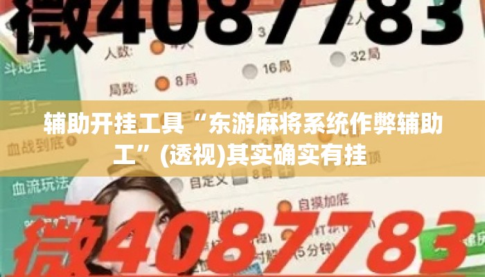 辅助开挂工具“东游麻将系统作弊辅助工”(透视)其实确实有挂 