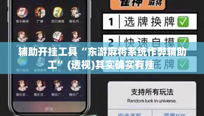 辅助开挂工具“东游麻将系统作弊辅助工	”(透视)其实确实有挂 