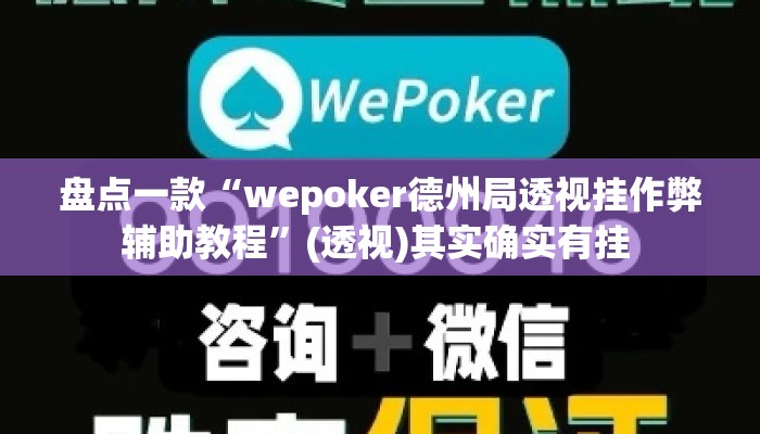 盘点一款“wepoker德州局透视挂作弊辅助教程”(透视)其实确实有挂 