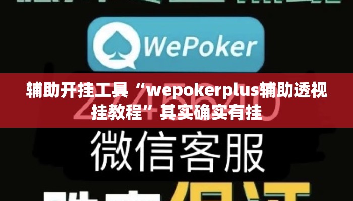 辅助开挂工具“wepokerplus辅助透视挂教程”其实确实有挂
