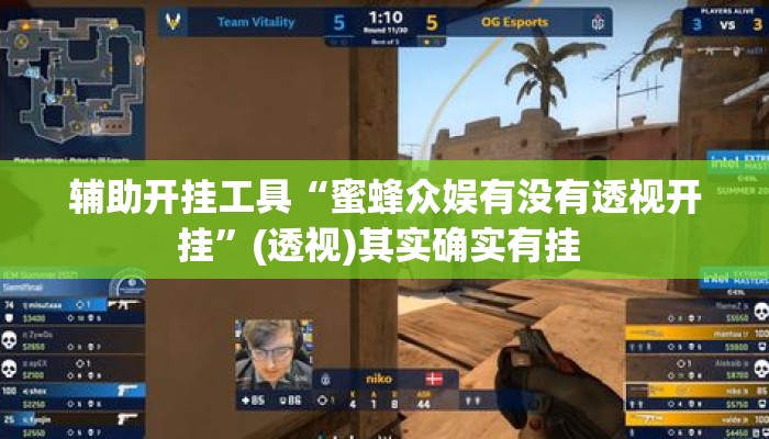 辅助开挂工具“蜜蜂众娱有没有透视开挂”(透视)其实确实有挂 
