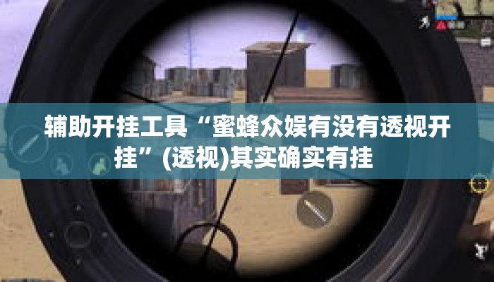 辅助开挂工具“蜜蜂众娱有没有透视开挂	”(透视)其实确实有挂 